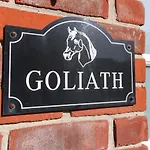 Goliath