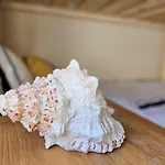 Bosun\'S Cottage Luxury Stay In The Heart Of Town