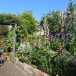 Galway Guest House