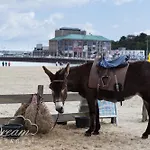 Marina Vista