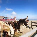 Beachside Gallery