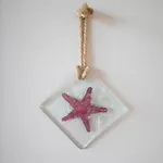 Star Fish Apartment