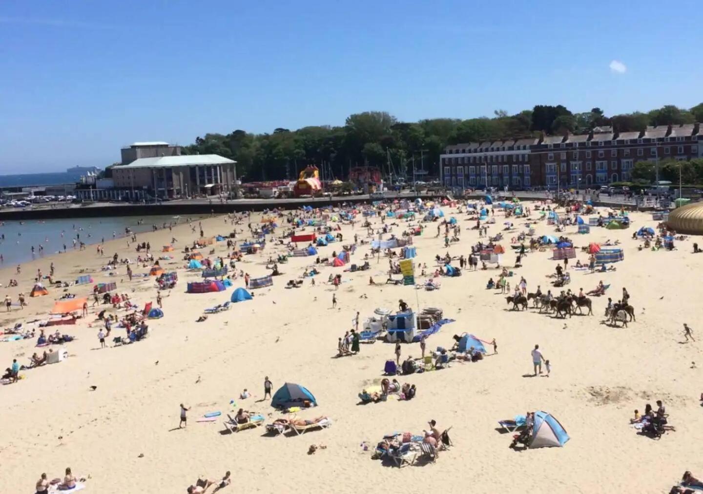 Amazing Charming Seaside Flat, Weymouthlocal