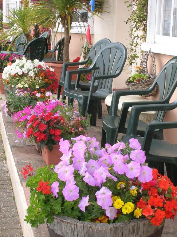 Guest house The Redcliff